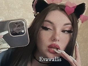 Evawallis