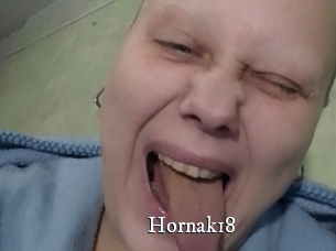 Hornak18