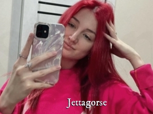 Jettagorse