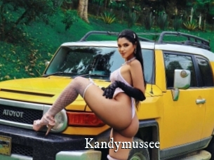 Kandymussee