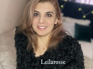 Leilarosse