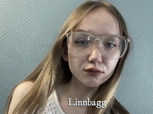 Linnbagg