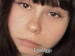 Lynbigge