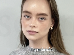 Lynnbricks