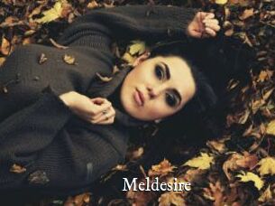 Meldesire