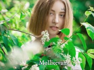 Mollieevans