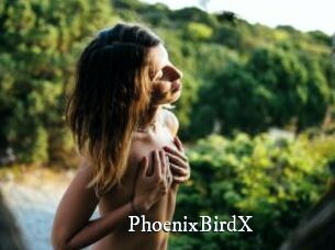 PhoenixBirdX