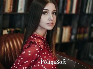 PolinaSoft