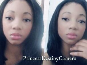 PrincessDestinyCamero