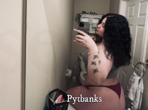 Pytbanks