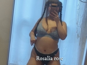 Rosalia_rose