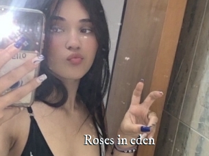 Roses_in_eden