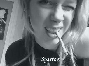 Sparrow