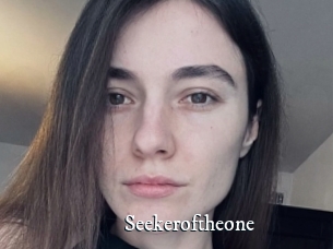 Seekeroftheone