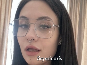 Seyerinoris