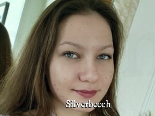 Silverbeech