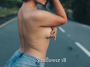 Sunflower_18