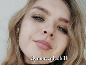 Synnovegledhill