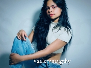 Vaalerynaugthy