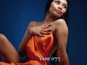 Vane_077