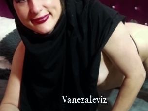 Vanezaleviz