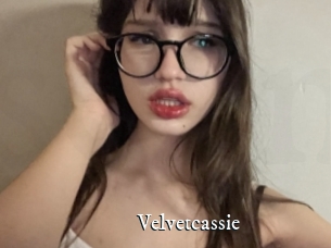 Velvetcassie