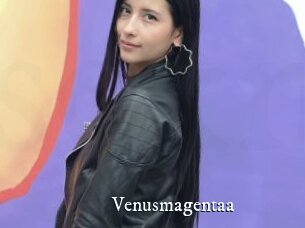 Venusmagentaa