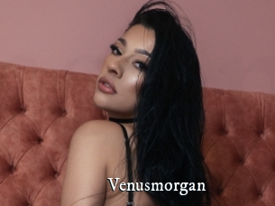 Venusmorgan