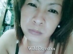 WildFlowerxx