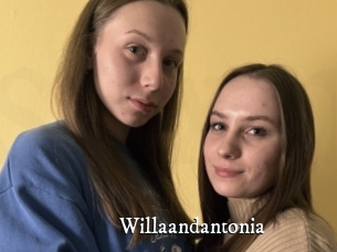 Willaandantonia