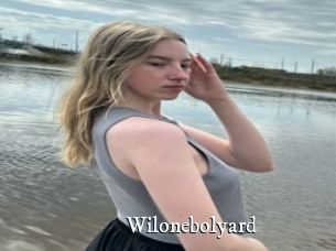 Wilonebolyard